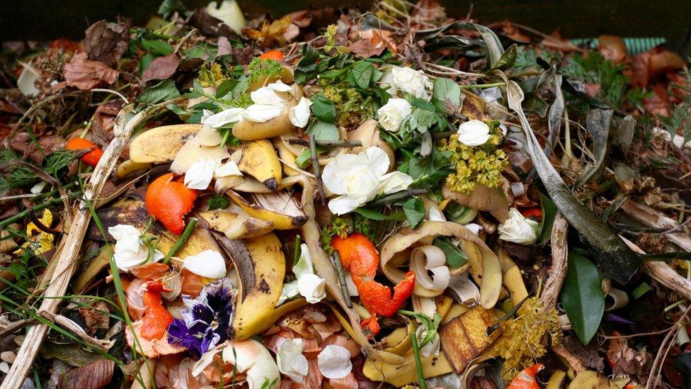 Food waste