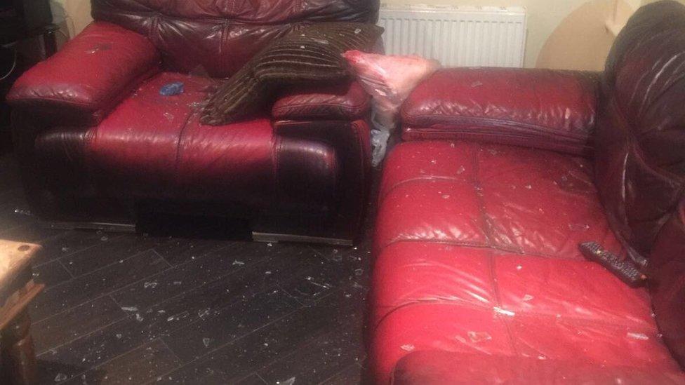 Pigs head in family's living room