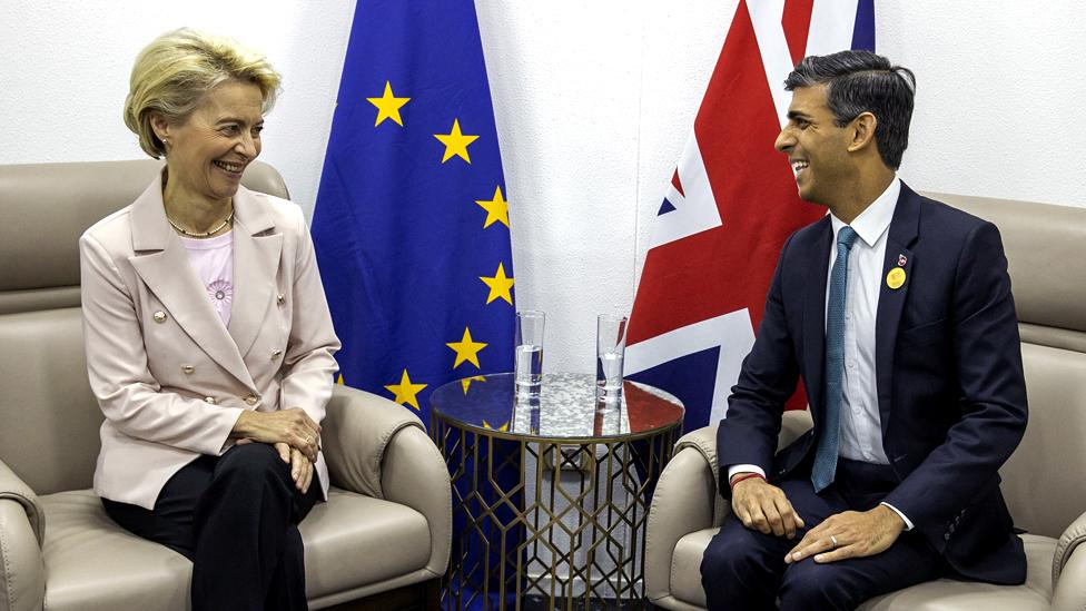 European Commission President Ursula von der Leyen and UK Prime Minister Rishi Sunak