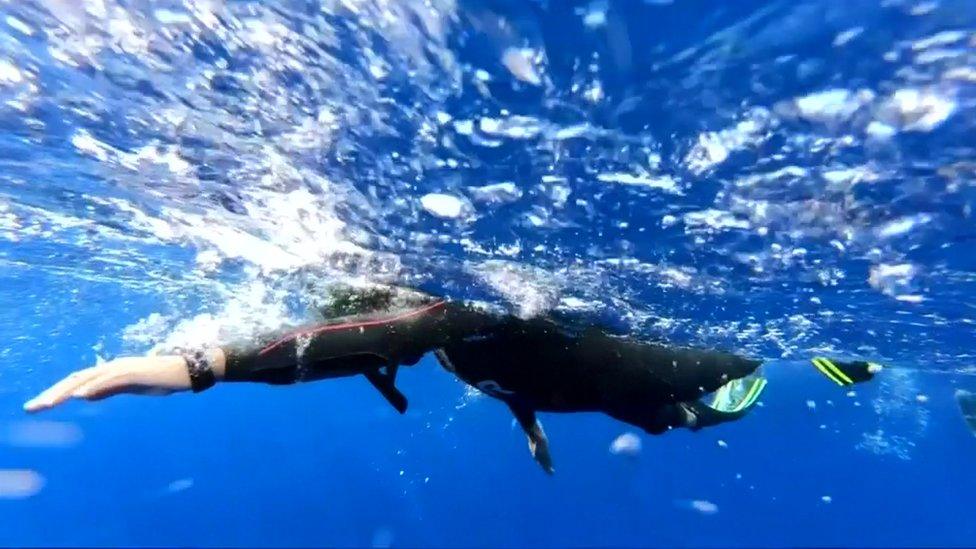 Ben Lecomte swimming in the ocean