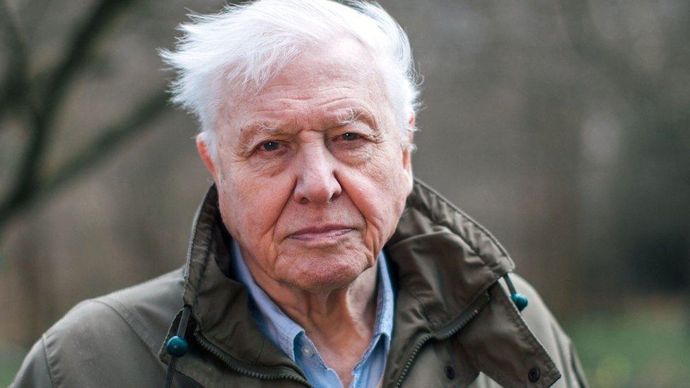 Sir David Attenborough