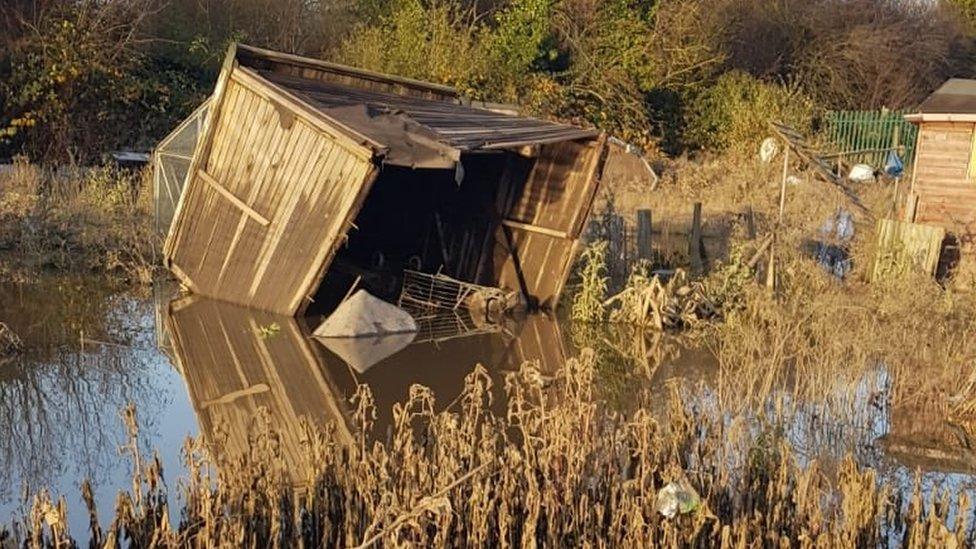 Damage to allotments