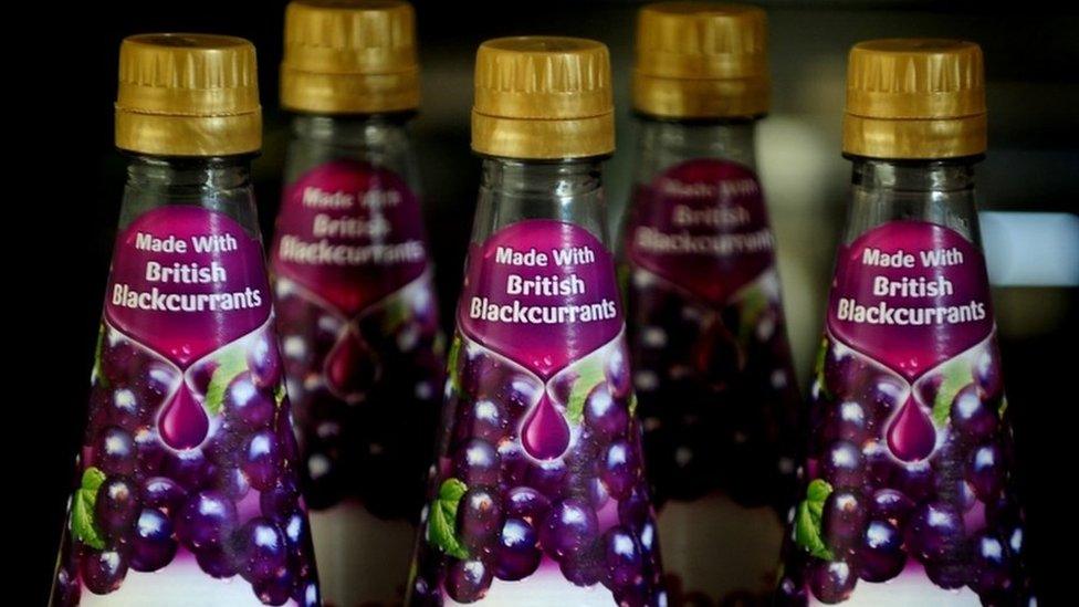 Ribena blackcurrant cordial