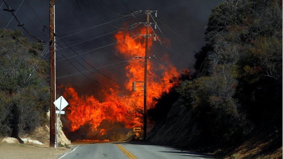 Flames from a wildfire are seen on a road in California