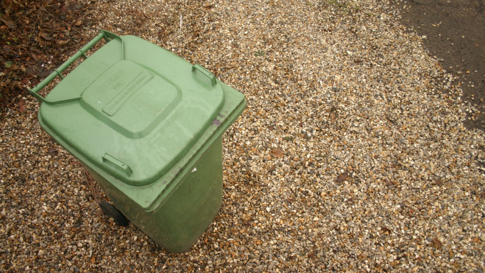 Wheelie bin