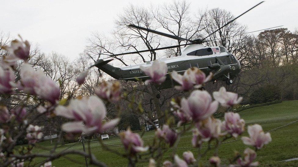 Marine One takes off on the South Lawn in front of magnolia blossoms on March 27, 2008 at the White House in Washington, DC.