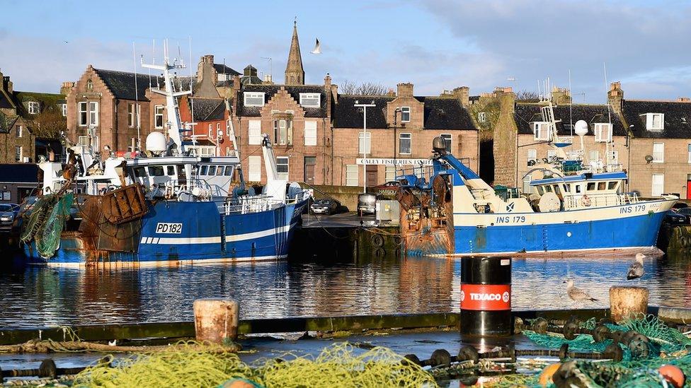 Peterhead harbour