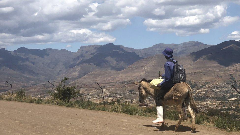 Man on a pony looking at the landscape