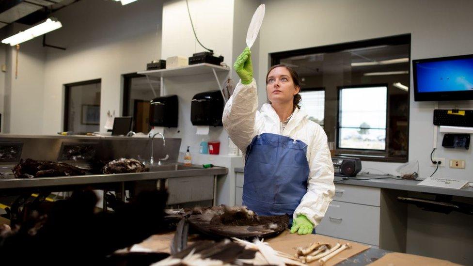 Laura Mallory looking at a feather