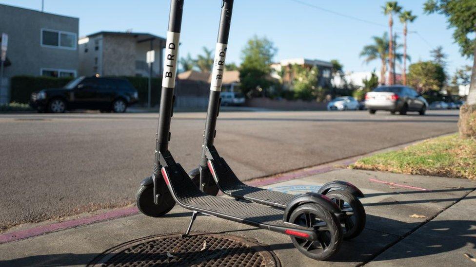 Bird scooters