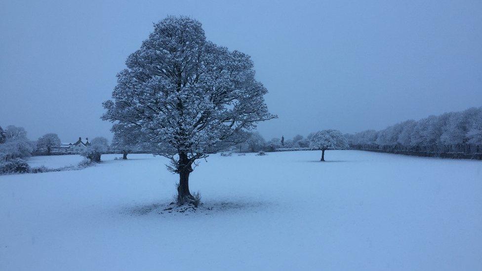 Yr eira heb ei gyffwrdd eto wrth i'r haul godi yn Llanwnda