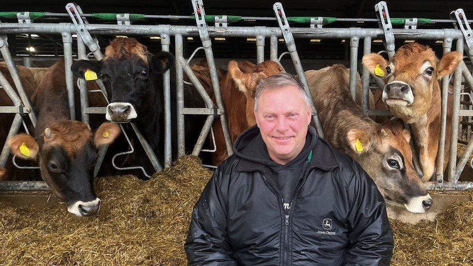 Oliver Neagle & cows