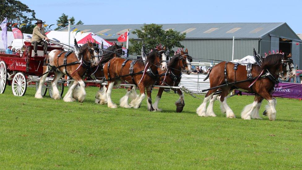 Royal Manx Agricultural Show