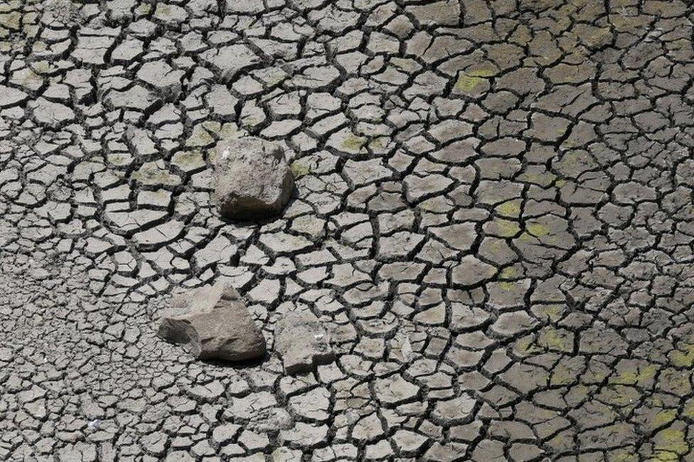 Cracked soil at Manjara Dam is seen in Osmanabad, India, April 17, 2016