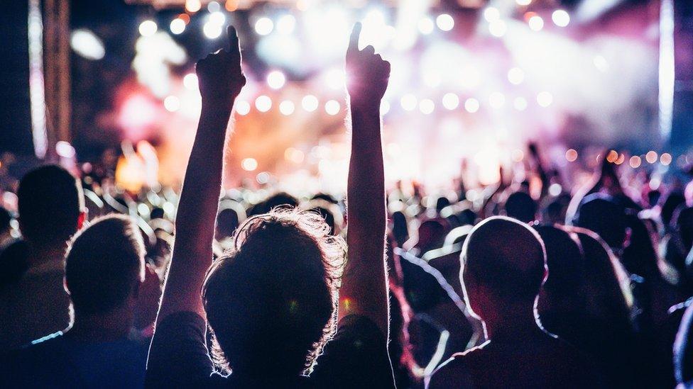 A crowd at a music festival