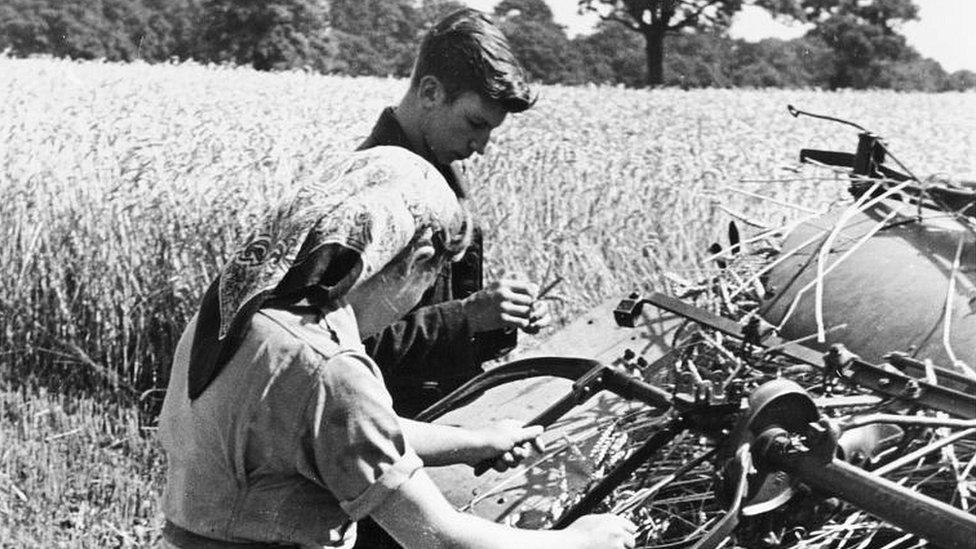 Land girls