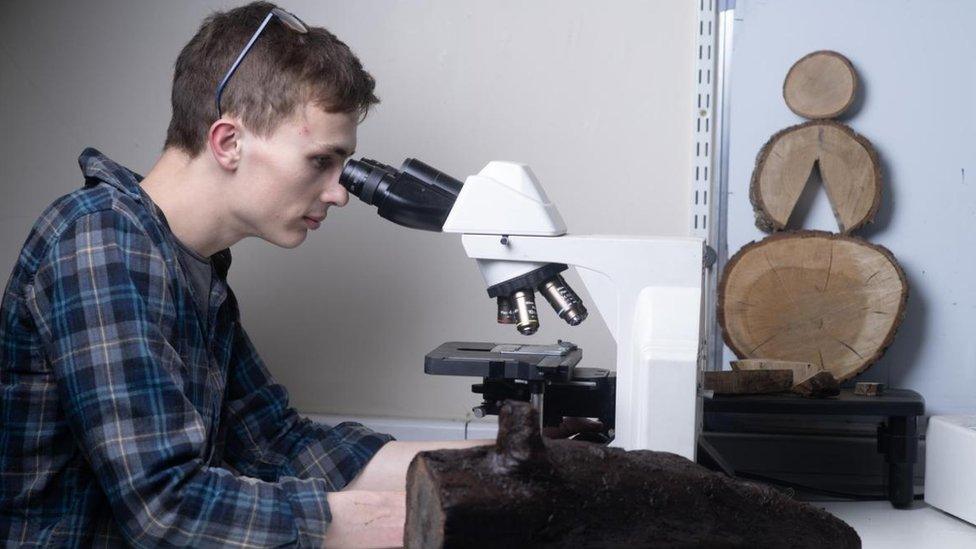 Ed Treasure at Wessex Archaeology inspecting Bronze Age wooden fragments under a microscope