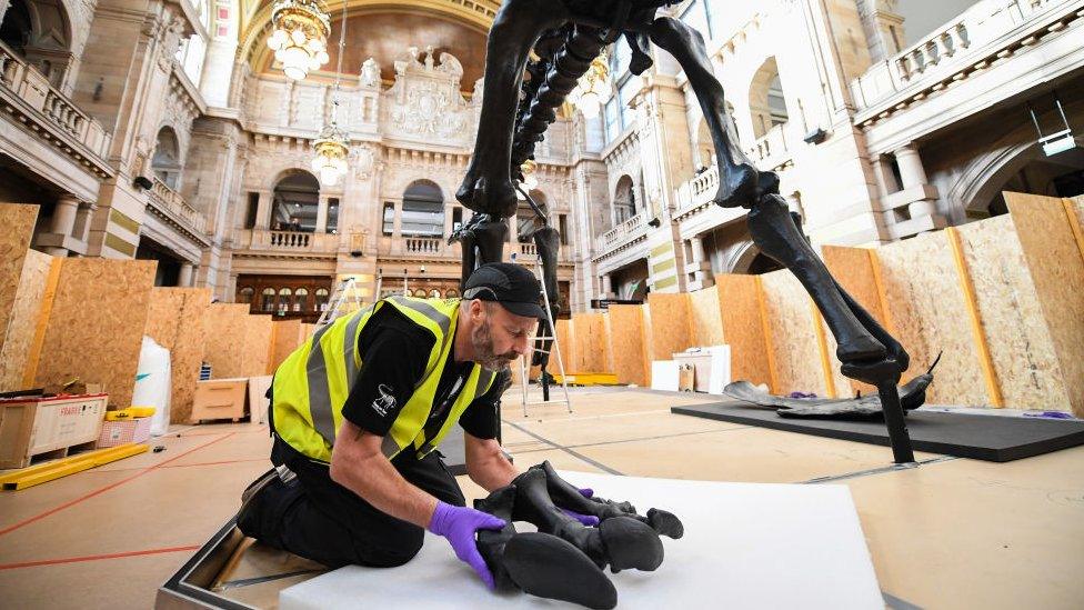 Specialists at Glasgow's Kelvingrove museum and art gallery carefully piece Dippy together