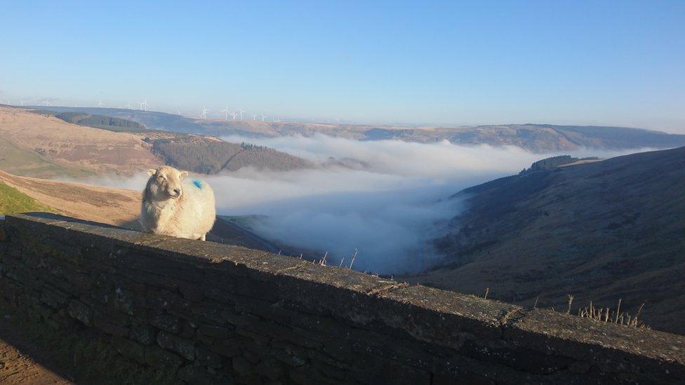 Bwlch Mountain