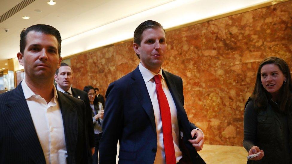 Donald Trump Jr (L) and Eric Trump - 14 November