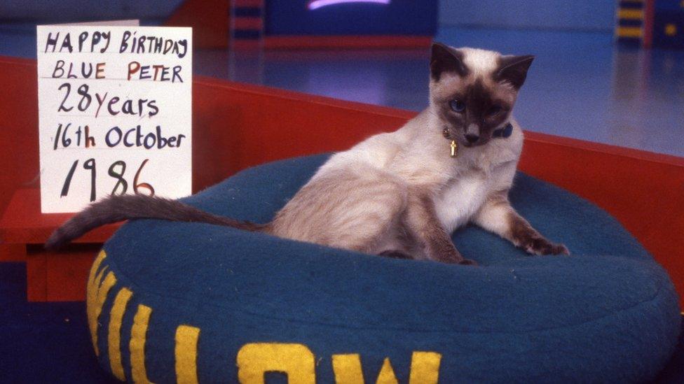 Willow the Blue Peter cat.