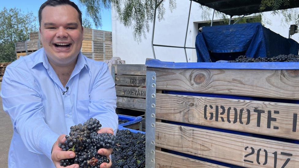 Man holding a bunch of grapes