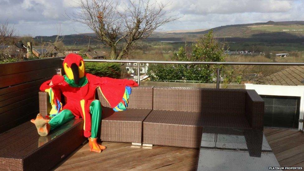 The parrot put his feet up after eating too much at his BBQ