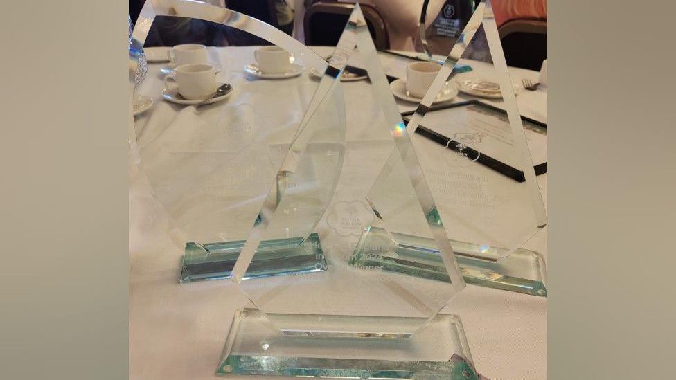 Three glass awards sitting together on a table, with teacups and saucers in the background