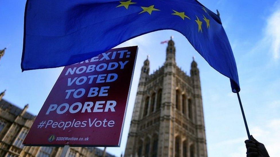 Placard demanding a "People's Vote outside Parliament