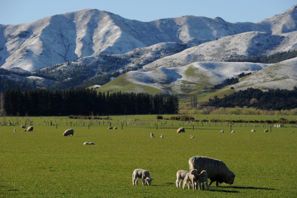 Mountains in the Southern Alps