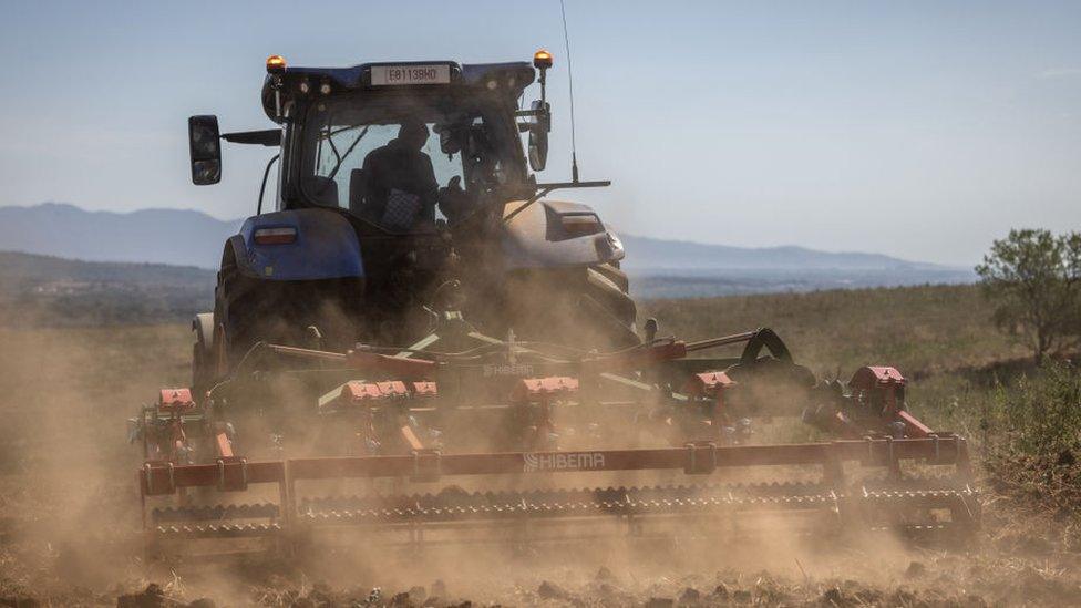 A tractor in a field