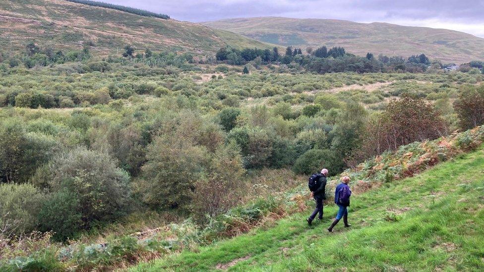 Ettrick Marshes