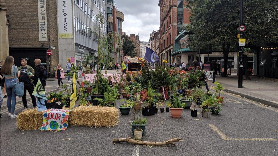 Plants in the road