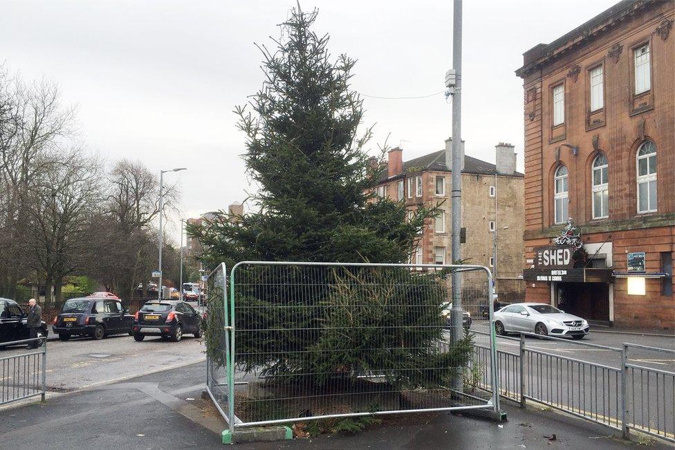 Christmas tree in Shawlands