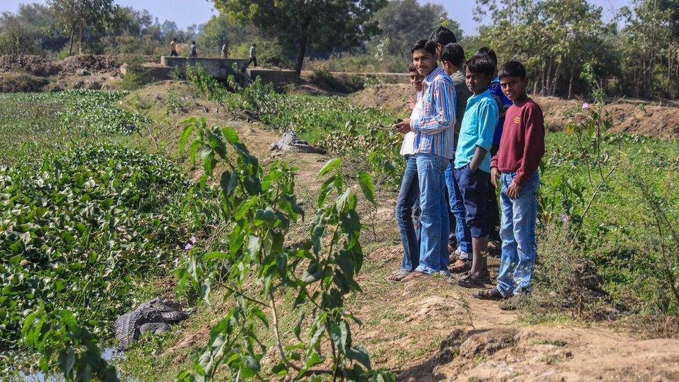 Children stand alongside crocodiles on the banks of the pond