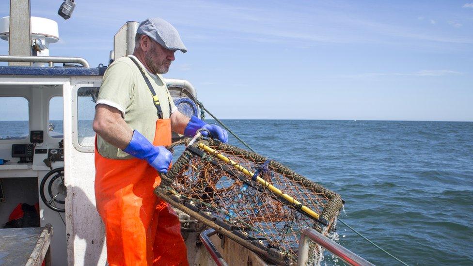 Fisherman lowering pot into sea