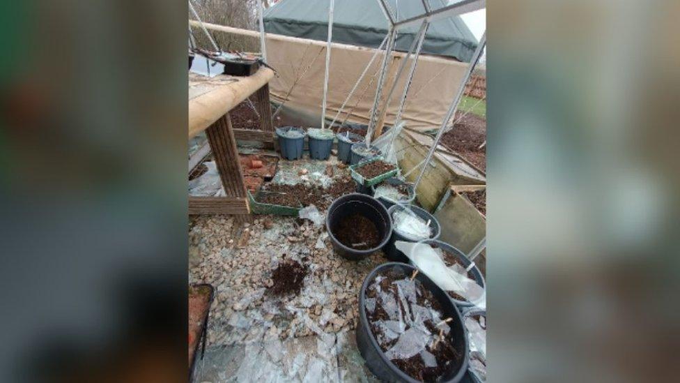 Smashed up greenhouse