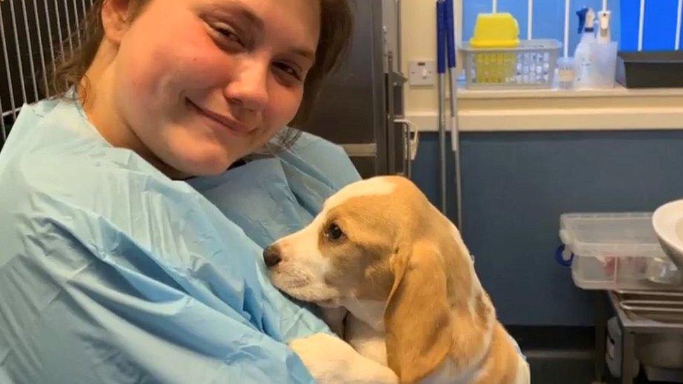 Danielle holds her beagle puppy Winston at the vets