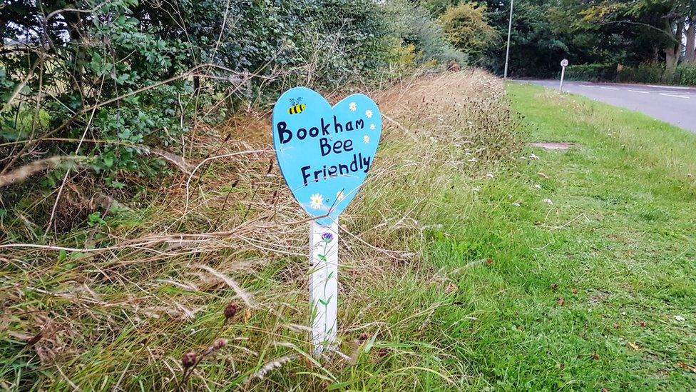 Blue Heart in Bookham