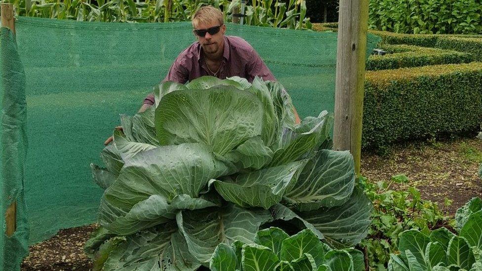 Dale with his prize cabbage