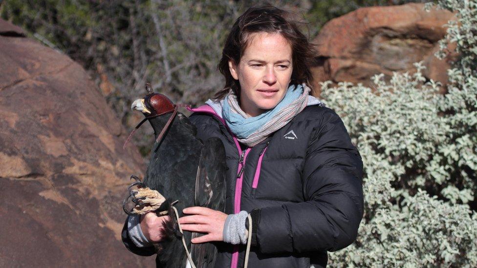 Dr Megan Murgatroyd, FitzPatrick Institute of African Ornithology