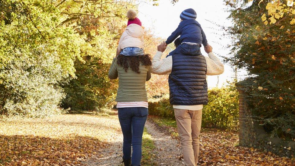 A family walking in a forest