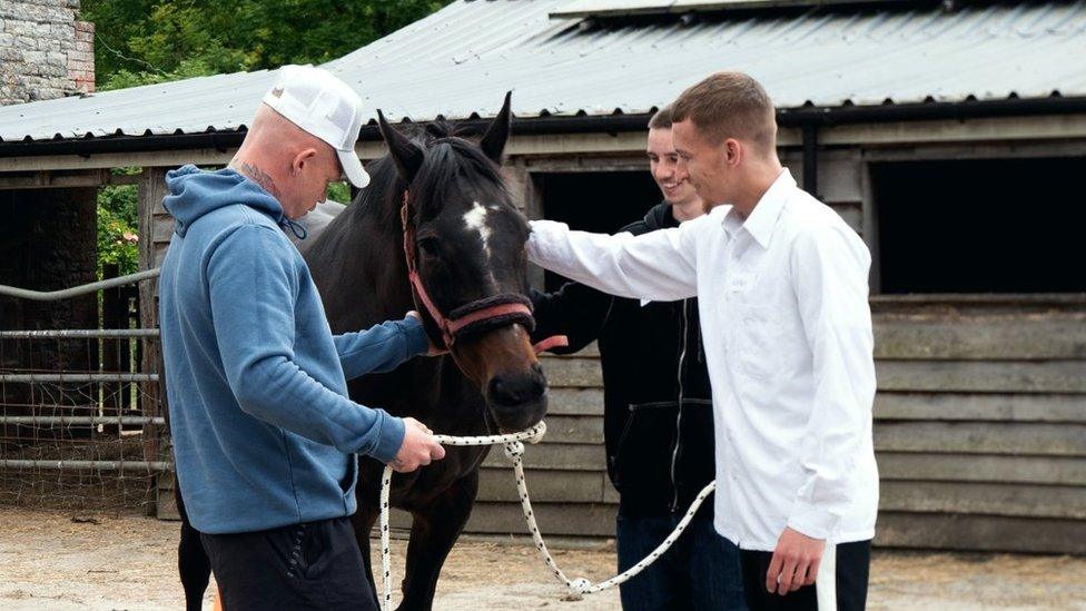 Three men stroke a horse