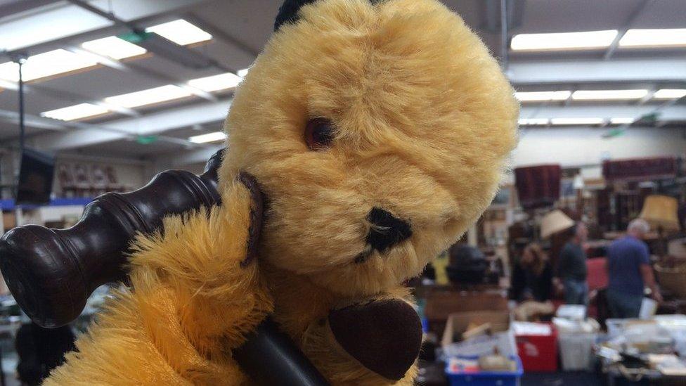 Sooty with gavel