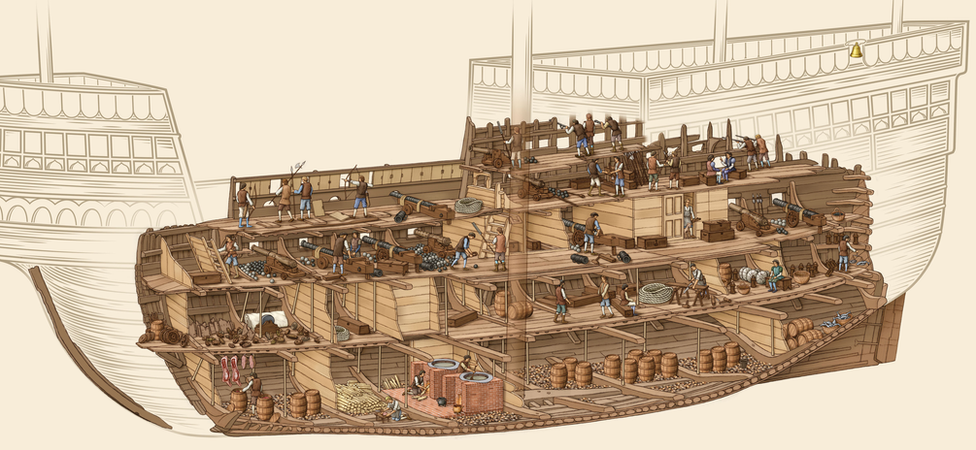 illustration of Mary Rose ship plan