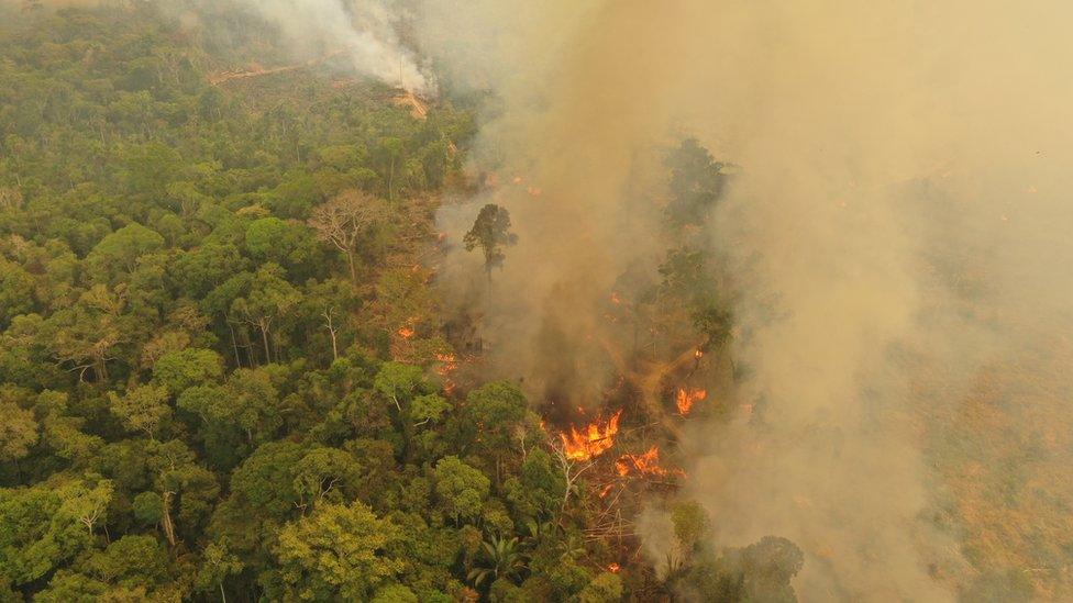 brazil-wildfires.