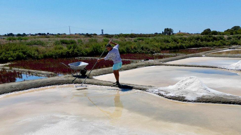 François Durand collecting sea salt in western France,