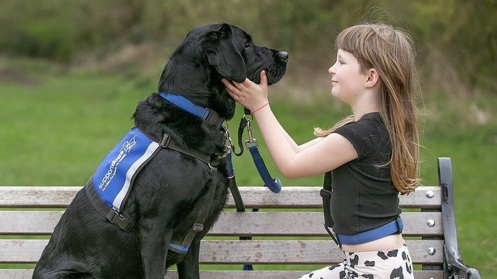 Dog and girl on bench