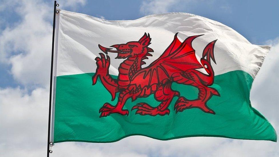 y ddraig goch