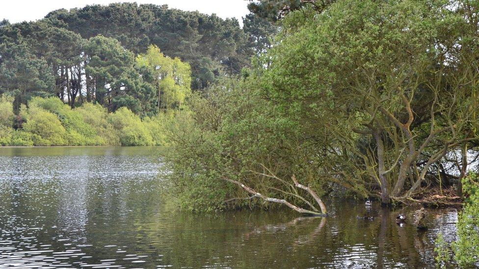 St Saviour's reservoir